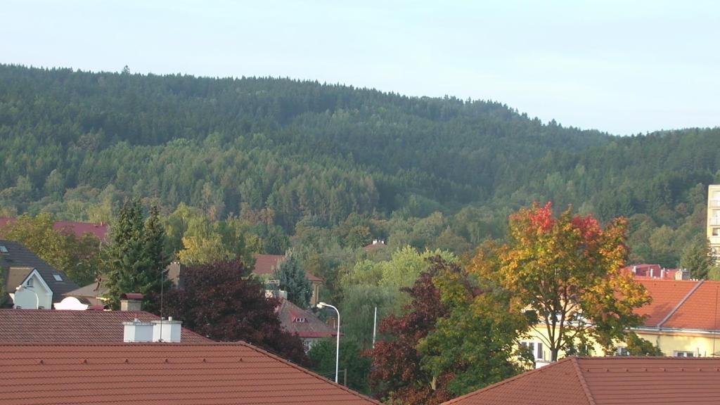 Apartments Meixner Mariánské Lázně Екстериор снимка